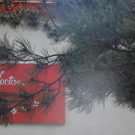 Nectar Hotel Dilijan Exterior photo